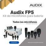 AUDIX FP5
